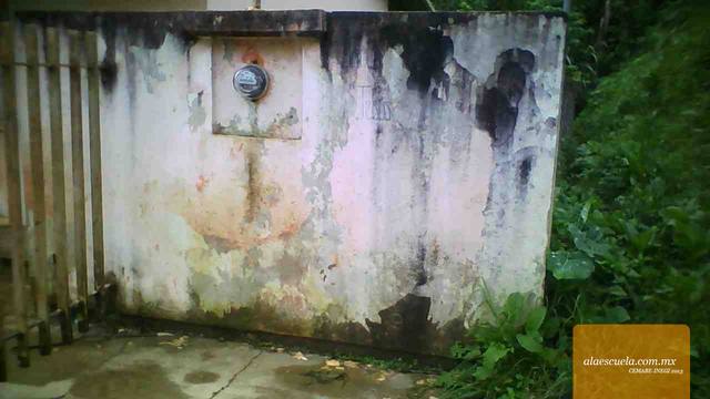 Entrada (vista previa)