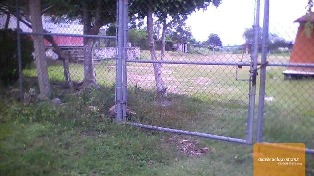 Entrada (vista previa)