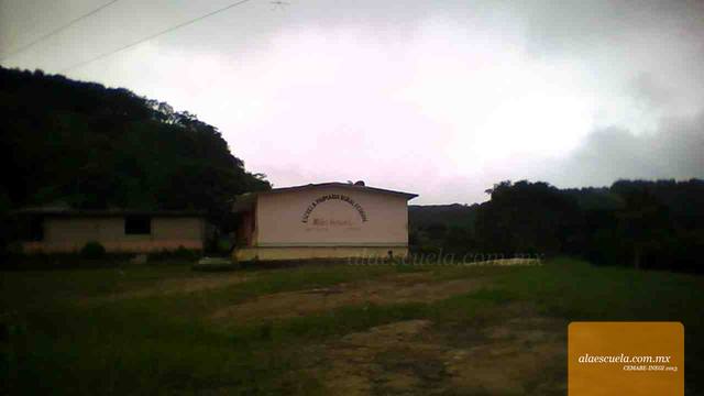 Entrada (vista previa)