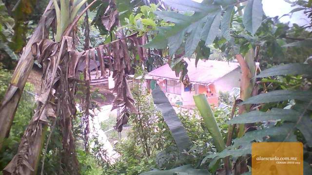 Entrada (vista previa)