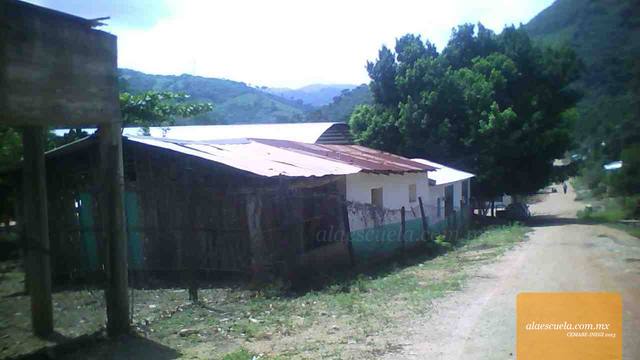 Entrada (vista previa)