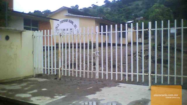 Entrada (vista previa)