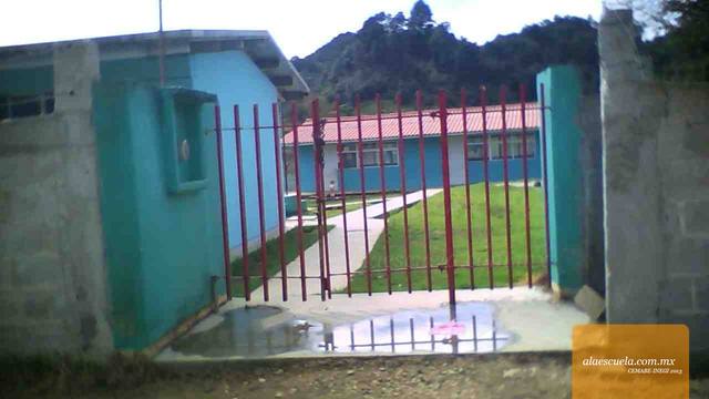 Entrada (vista previa)