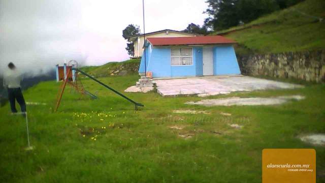 Entrada (vista previa)