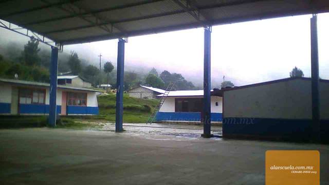 Entrada (vista previa)