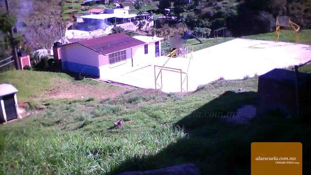 Entrada (vista previa)