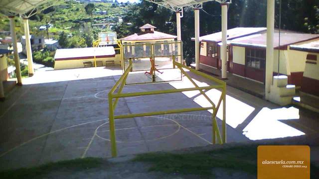 Entrada (vista previa)