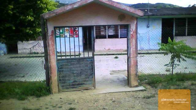 Entrada (vista previa)