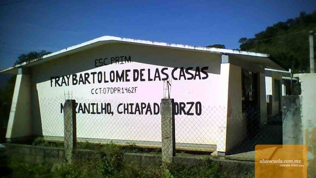 Entrada (vista previa)