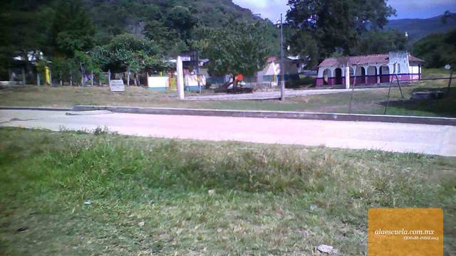 Entrada (vista previa)