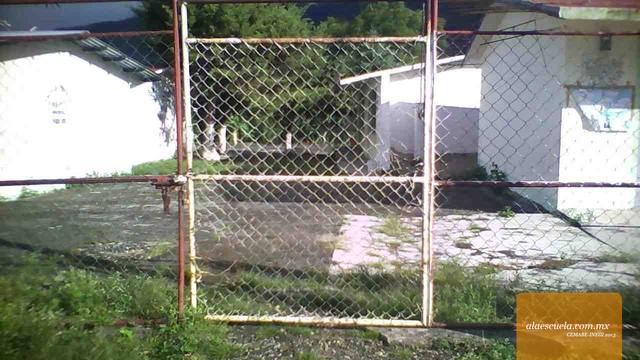 Entrada (vista previa)