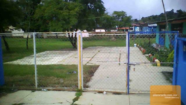 Entrada (vista previa)