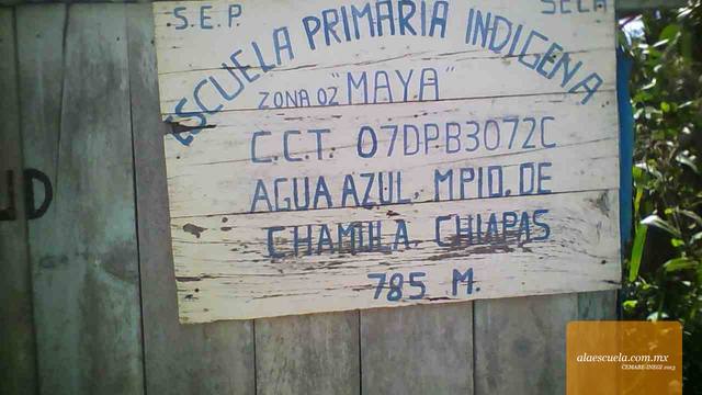 Entrada (vista previa)