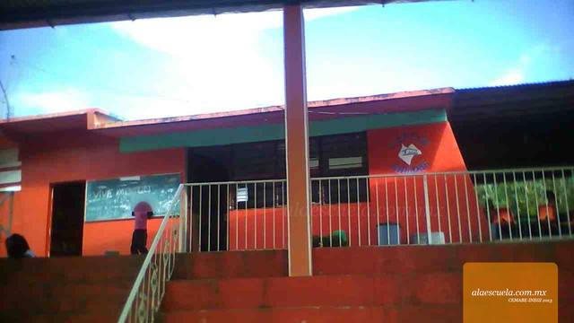 Entrada (vista previa)