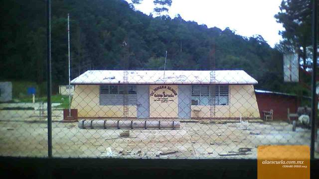 Entrada (vista previa)