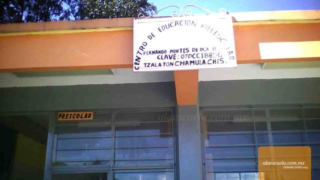 Entrada (vista previa)