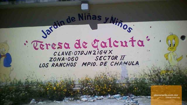 Entrada (vista previa)