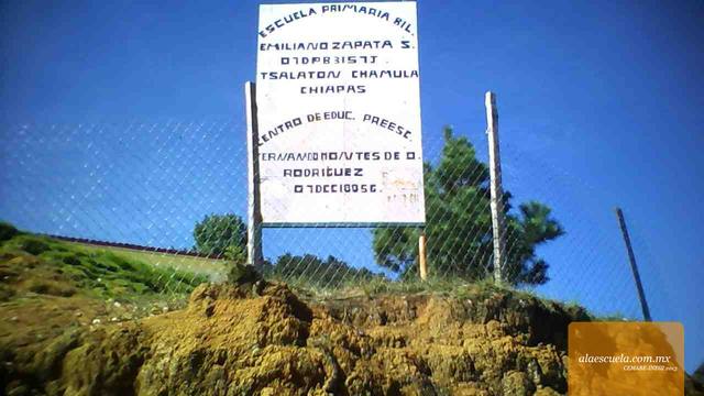 Entrada (vista previa)