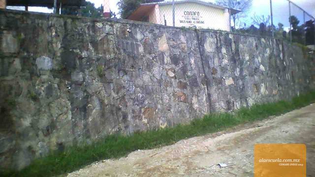 Entrada (vista previa)