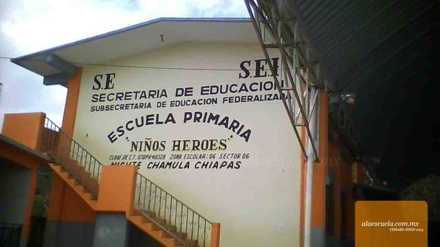 Entrada (vista previa)