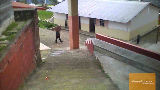 Entrada (vista previa)