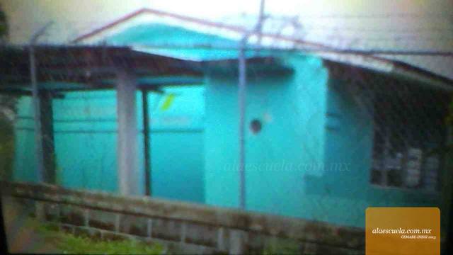 Entrada (vista previa)