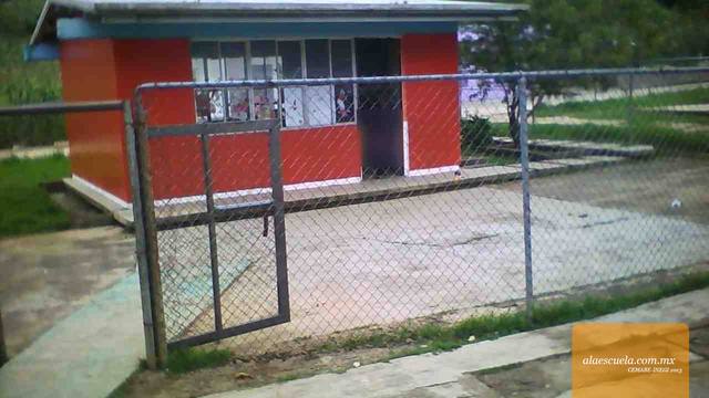 Entrada (vista previa)