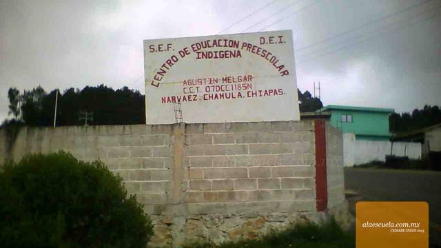 Entrada (vista previa)