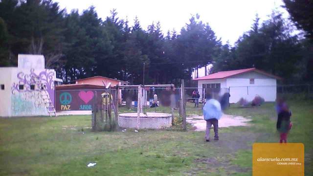 Entrada (vista previa)