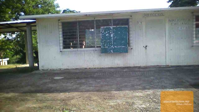 Entrada (vista previa)