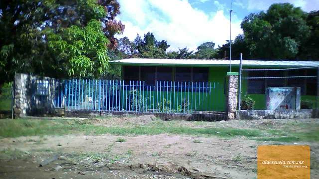 Entrada (vista previa)