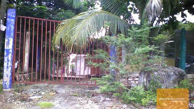 Entrada (vista previa)