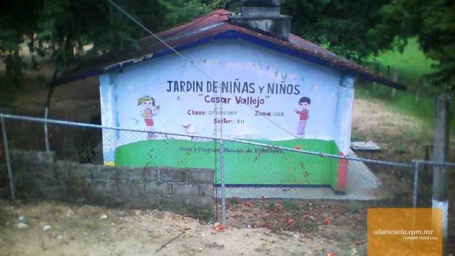 Entrada (vista previa)