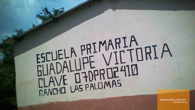 Entrada (vista previa)