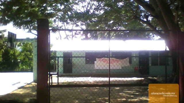 Entrada (vista previa)