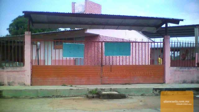 Entrada (vista previa)