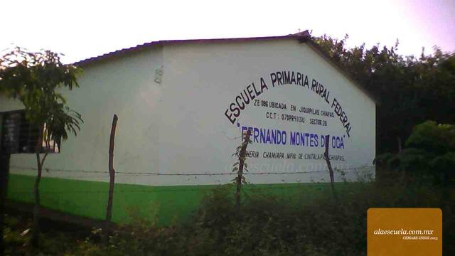 Entrada (vista previa)