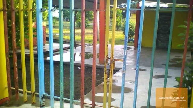 Entrada (vista previa)