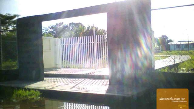 Entrada (vista previa)