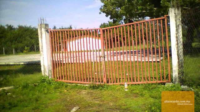 Entrada (vista previa)