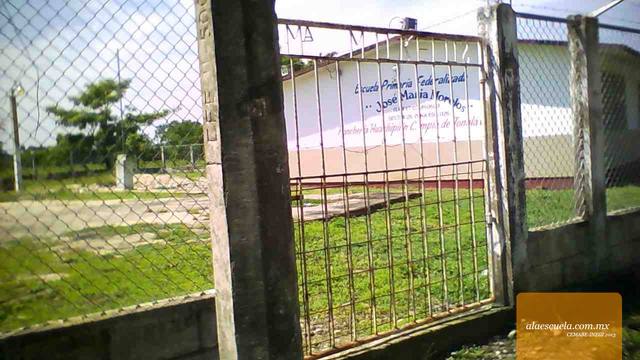 Entrada (vista previa)