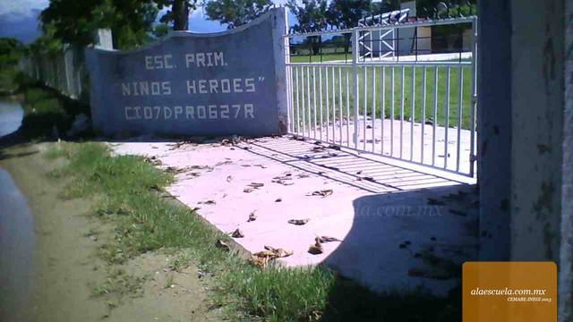 Entrada (vista previa)