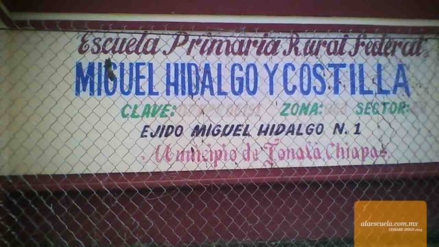 Entrada (vista previa)