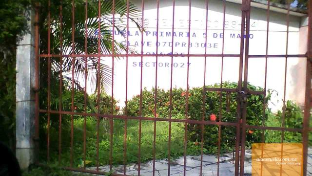 Entrada (vista previa)