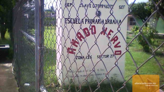 Entrada (vista previa)