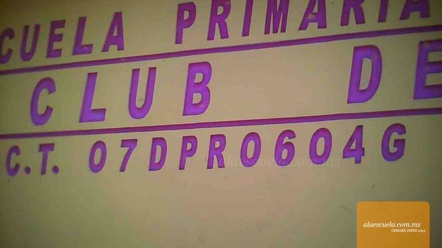 Entrada (vista previa)