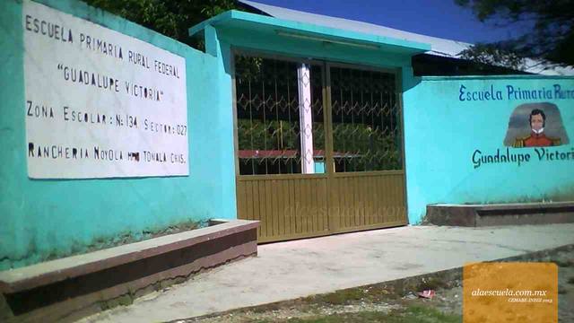 Entrada (vista previa)