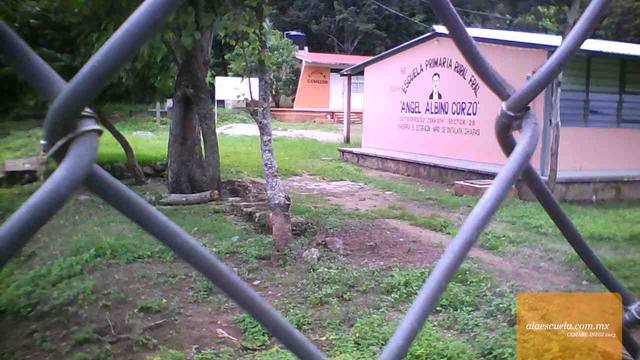 Entrada (vista previa)