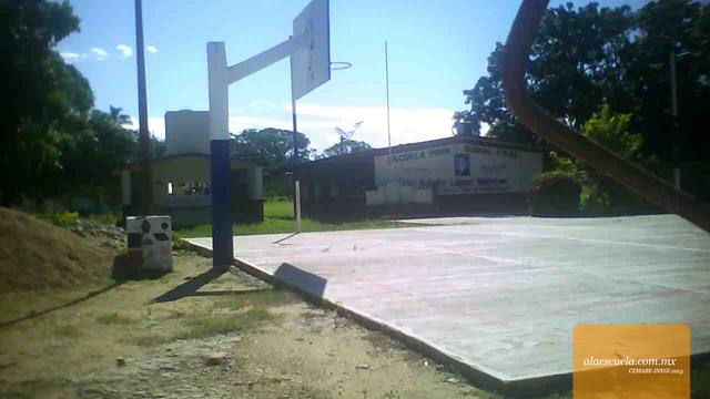 Entrada (vista previa)