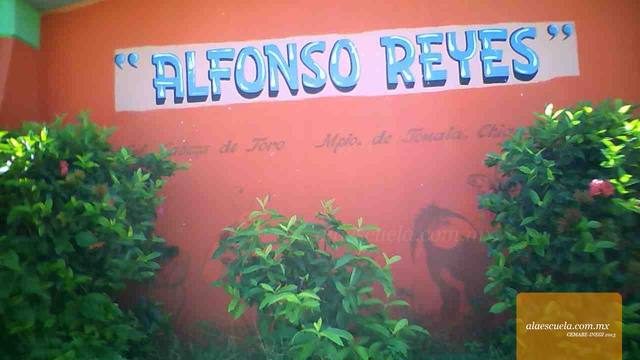 Entrada (vista previa)